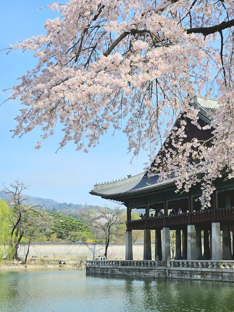 Photo Of The Gyeonghoeru Pavilion In Seoul, South Korea