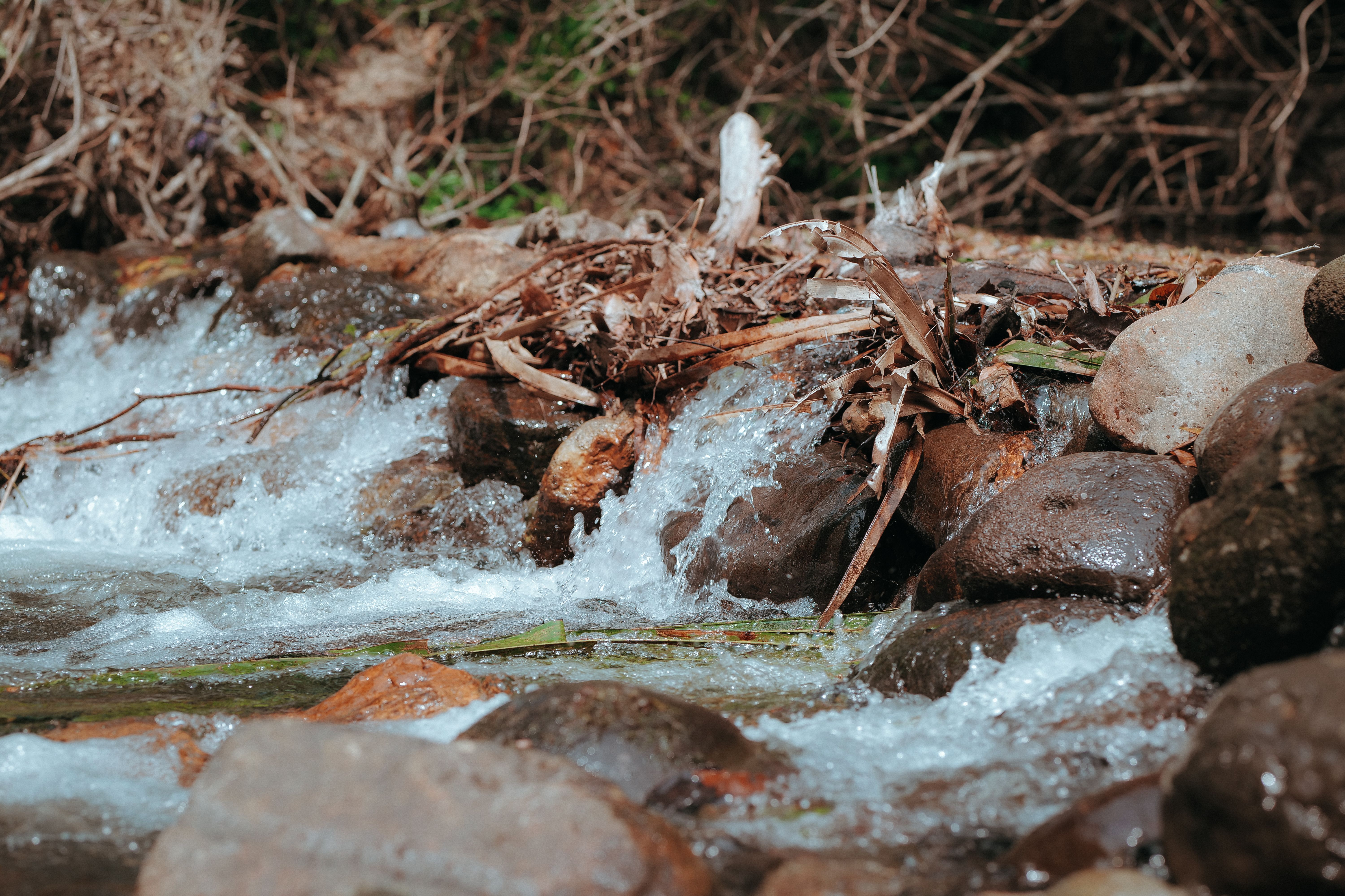 Water flowing over rocks