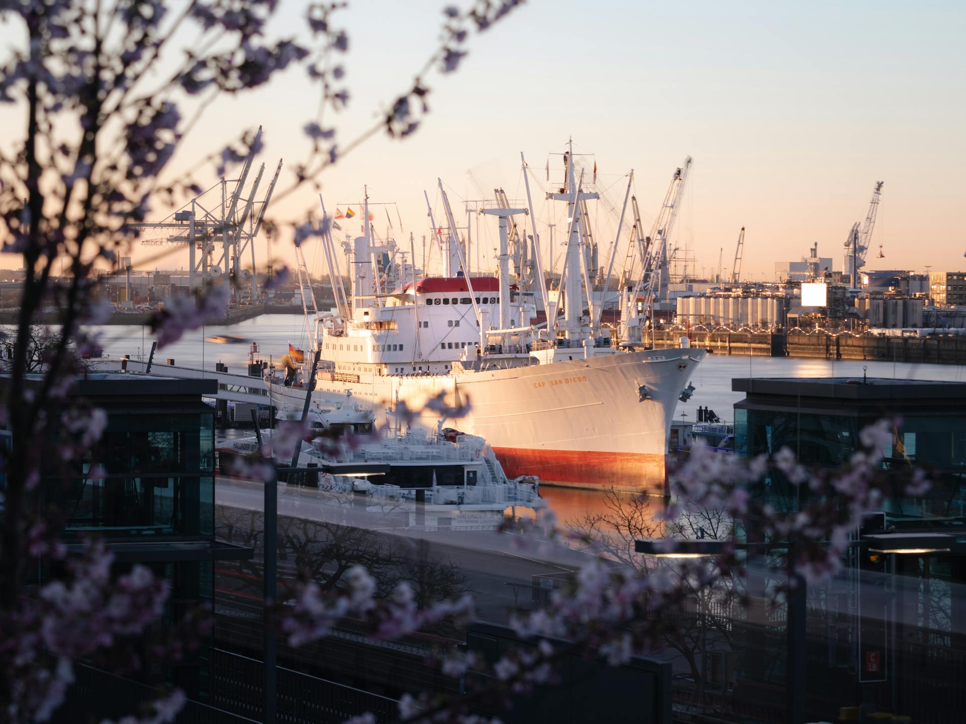 Beautiful view of Cap San Diego at Hamburg harbor with cherry blossoms at sunrise.
