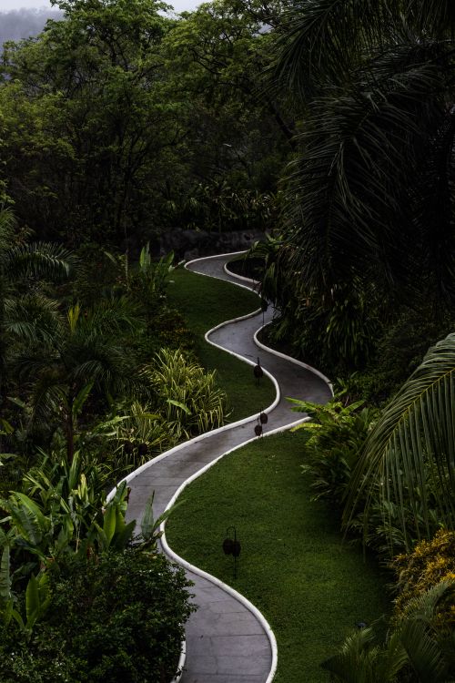 Winding Path Photos, Download The BEST Free Winding Path Stock Photos ...