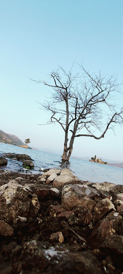 Základová fotografie zdarma na téma horská řeka, horské jezero, horské krajiny