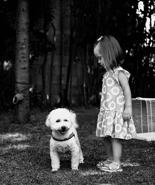 Girl in Dress and Poodle