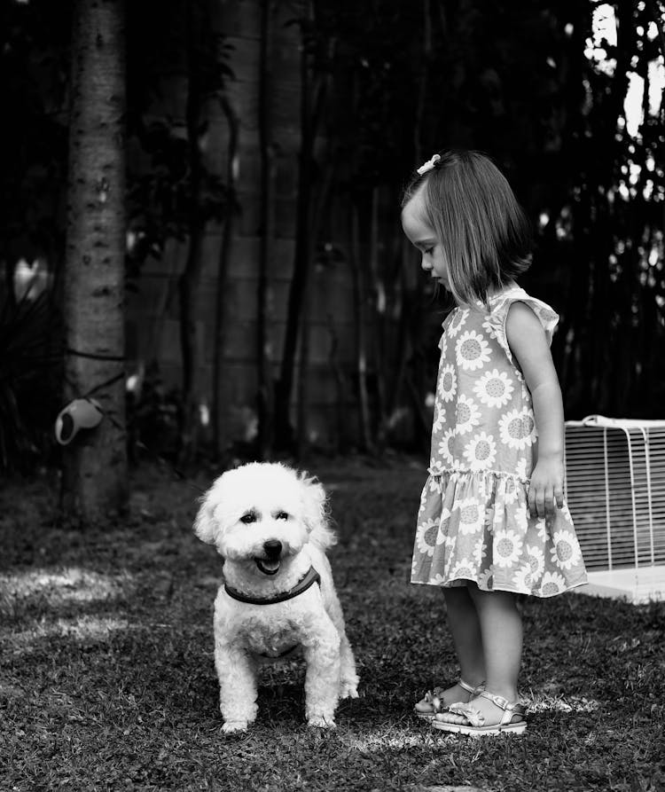 Girl In Dress And Poodle