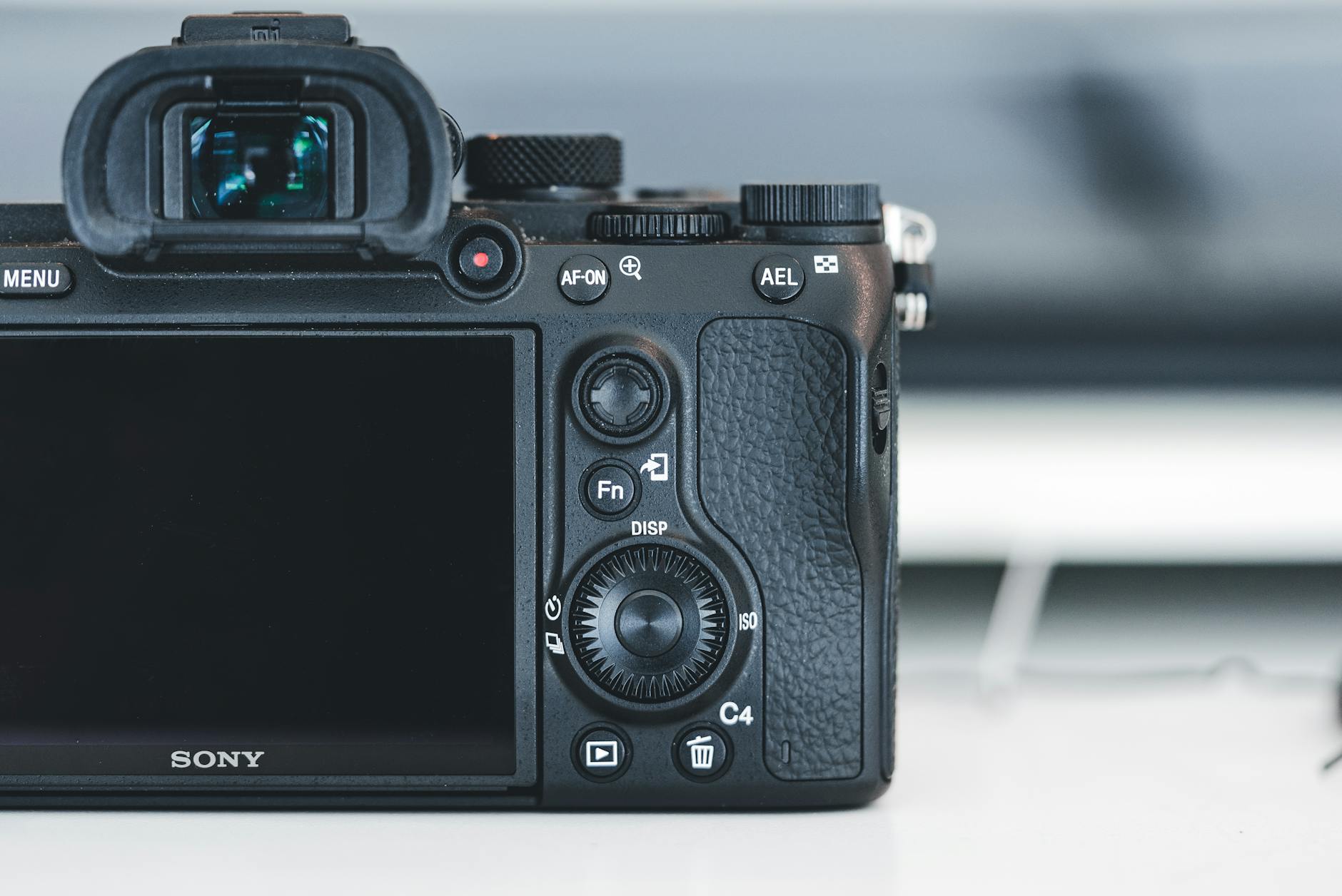 Camera rear LCD and controls—use menus to check shutter count and firmware details.