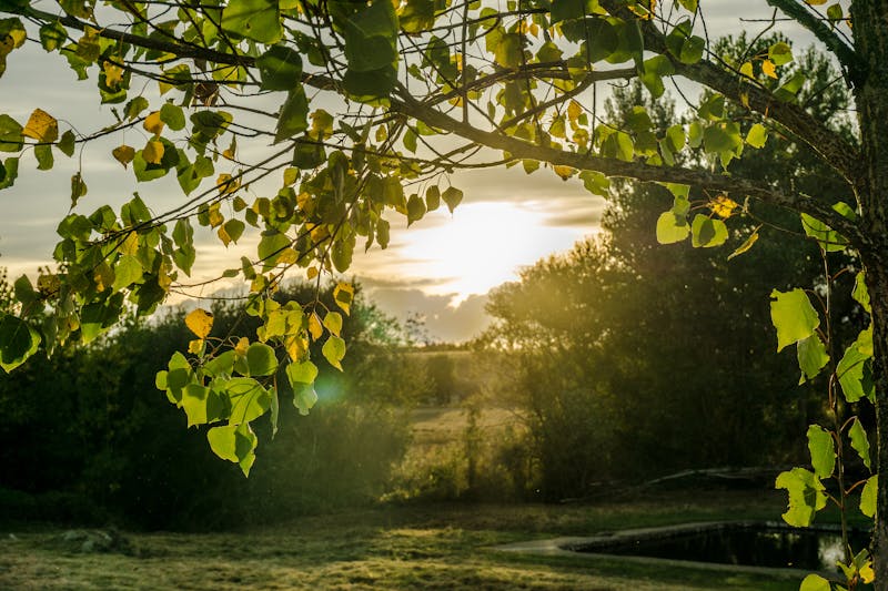 Lansetă de pescuit profesională pe fundal de lac