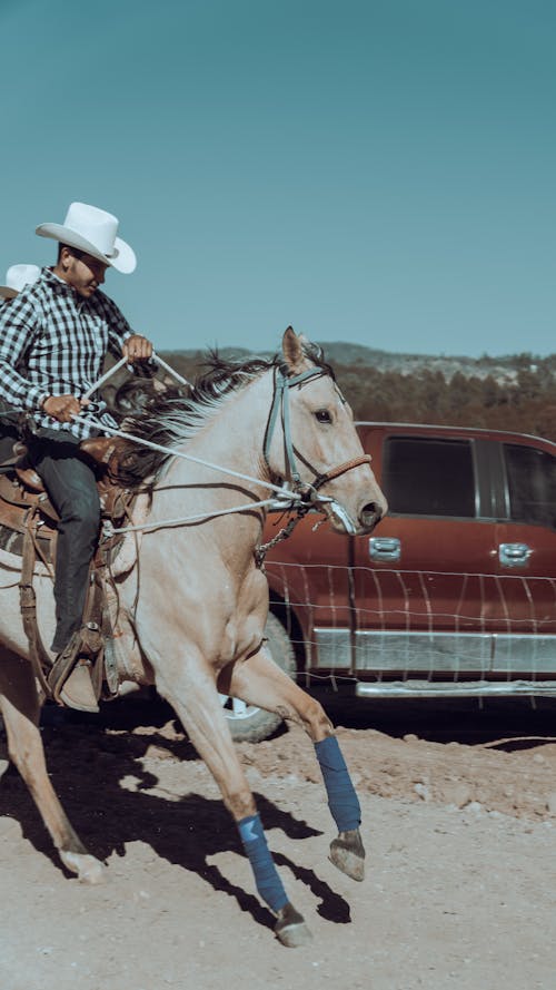 Man in a White Cowboy Hat and Checkered Shirt Horseback Riding 