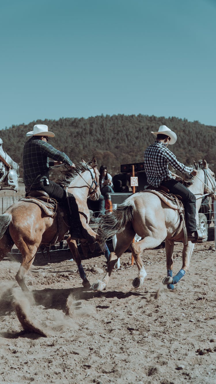 Back View Of Me Riding Horses