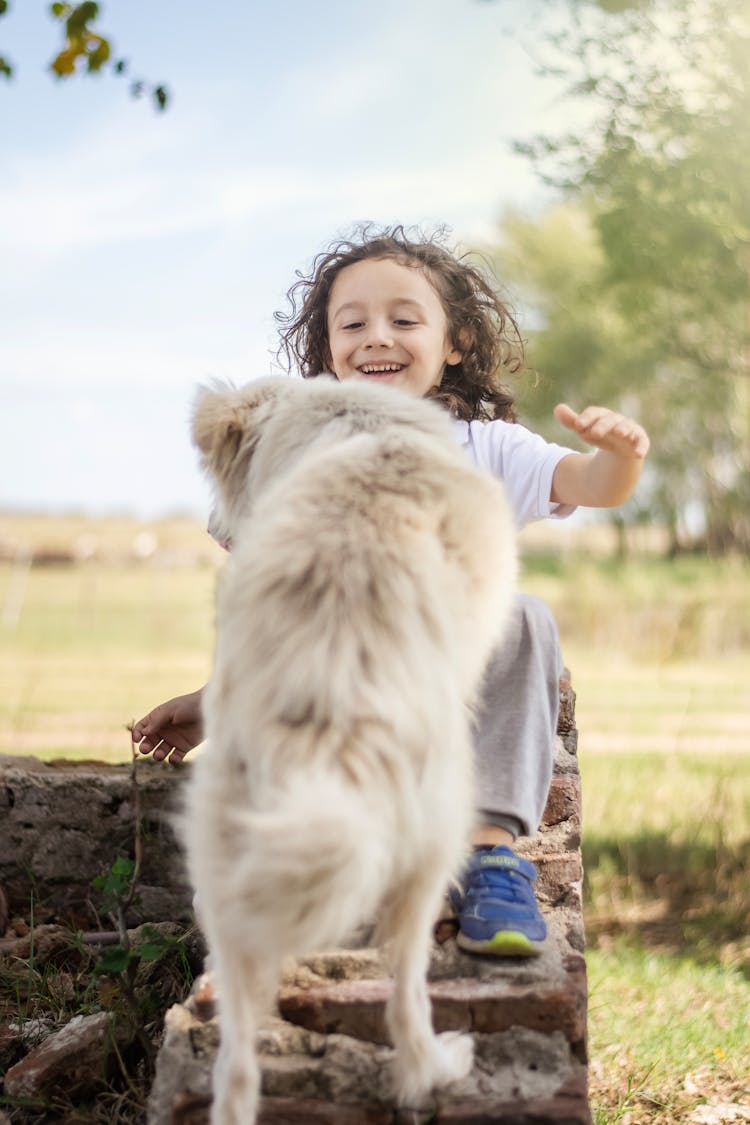 Girl And Dog On Wall