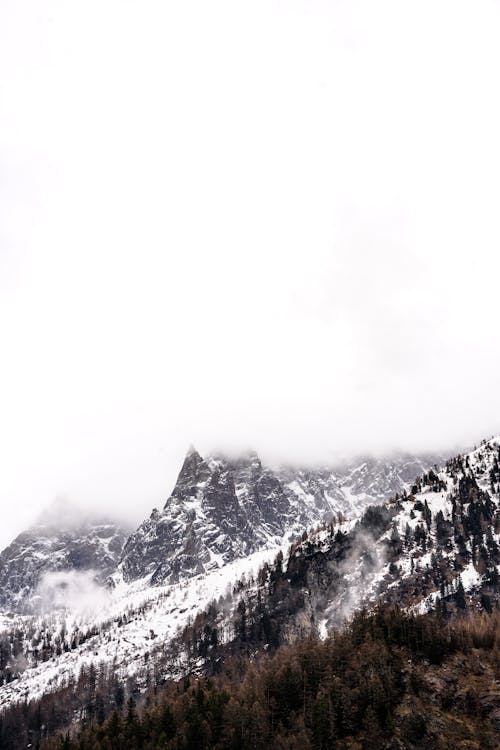 Kostenloses Stock Foto zu bäume, bedeckt, berge