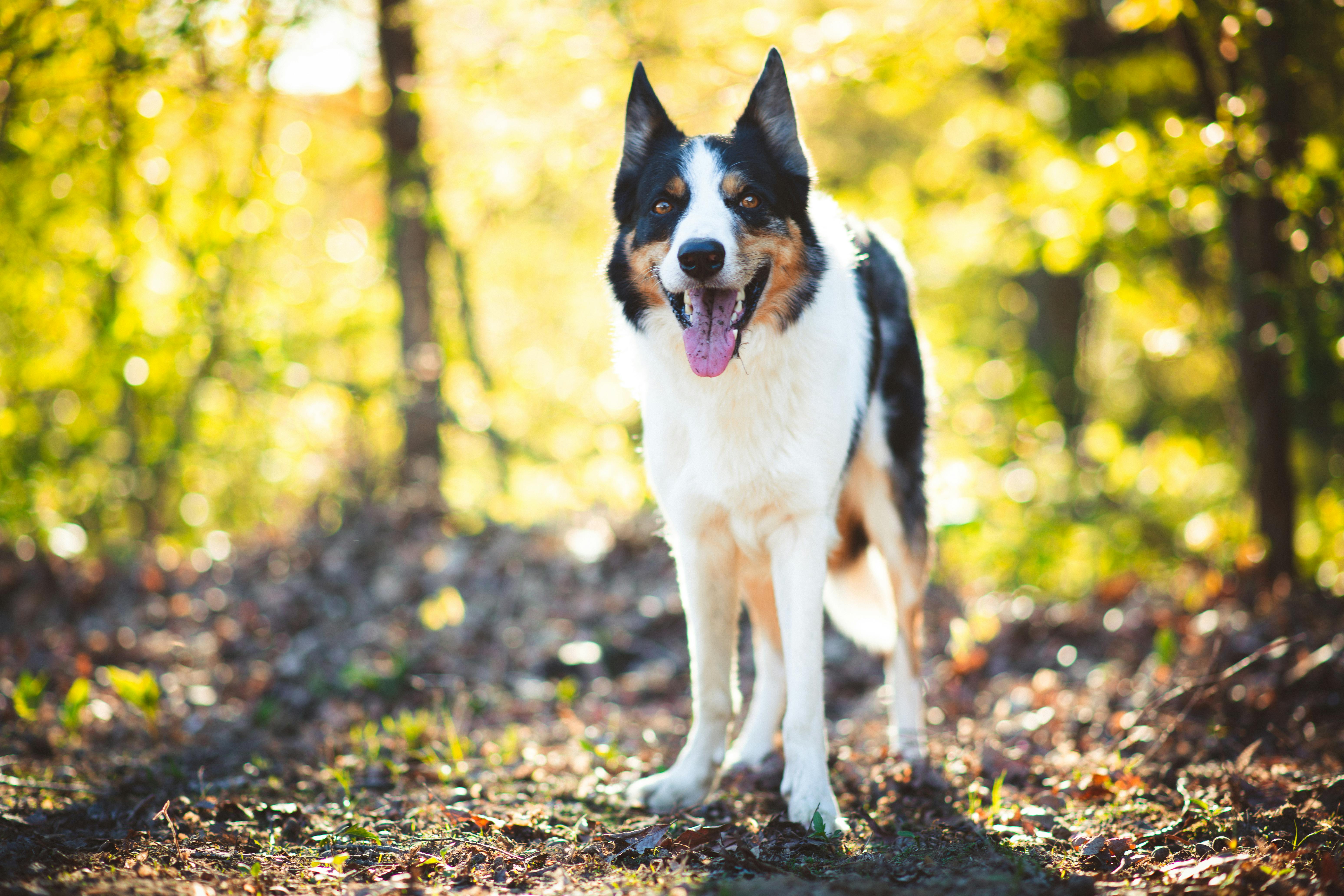 Geographical Borders Photos, Download The BEST Free Geographical