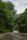 rainy nature