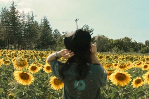 Woman in Hat Standing on Field of Sunflowers