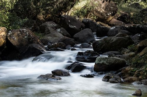 Free A tranquil stream flows over rocks in a lush forest setting, creating a serene natural scene. Stock Photo