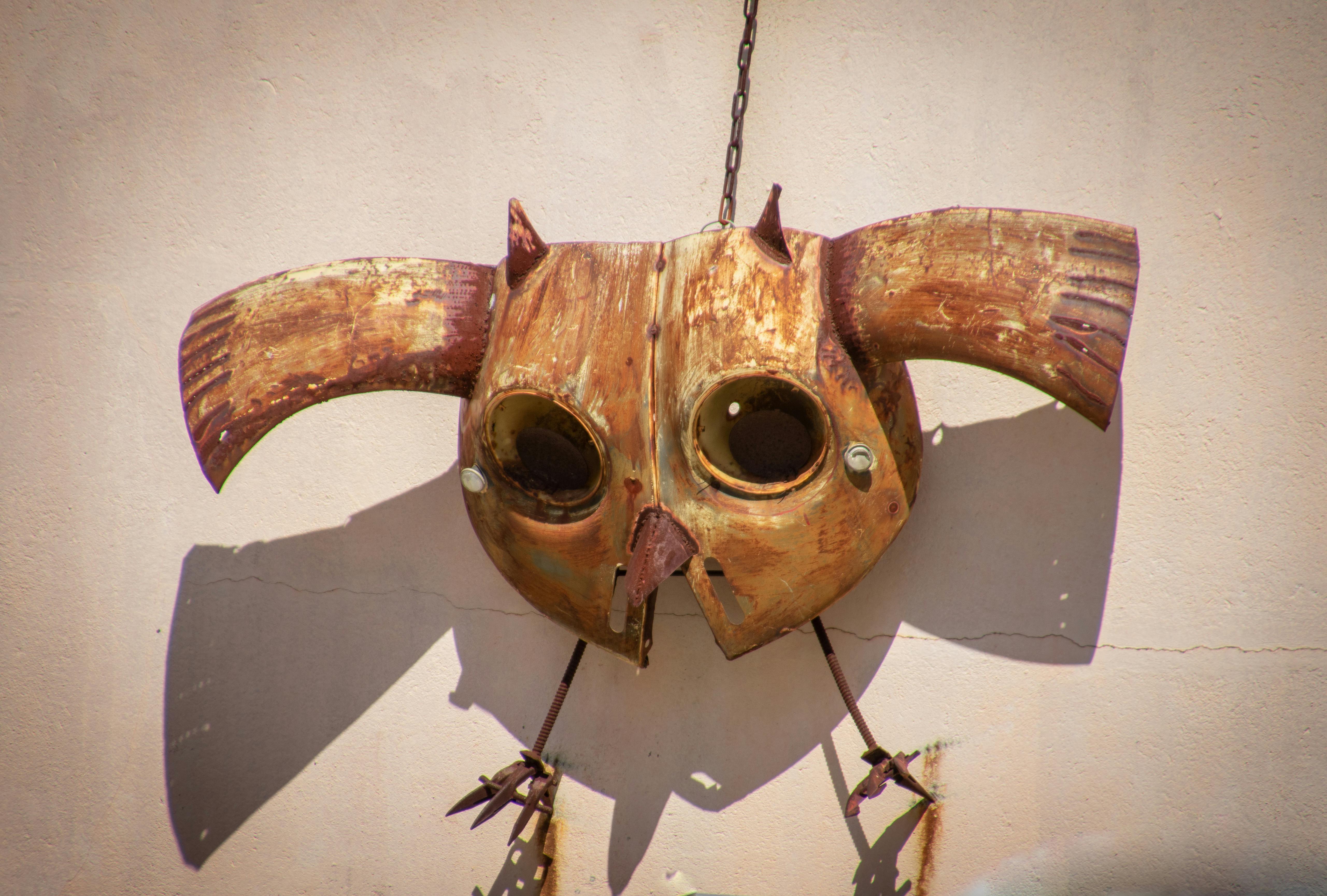 Foto Stok Gratis Tentang Bayangan Binatang Burung Hantu