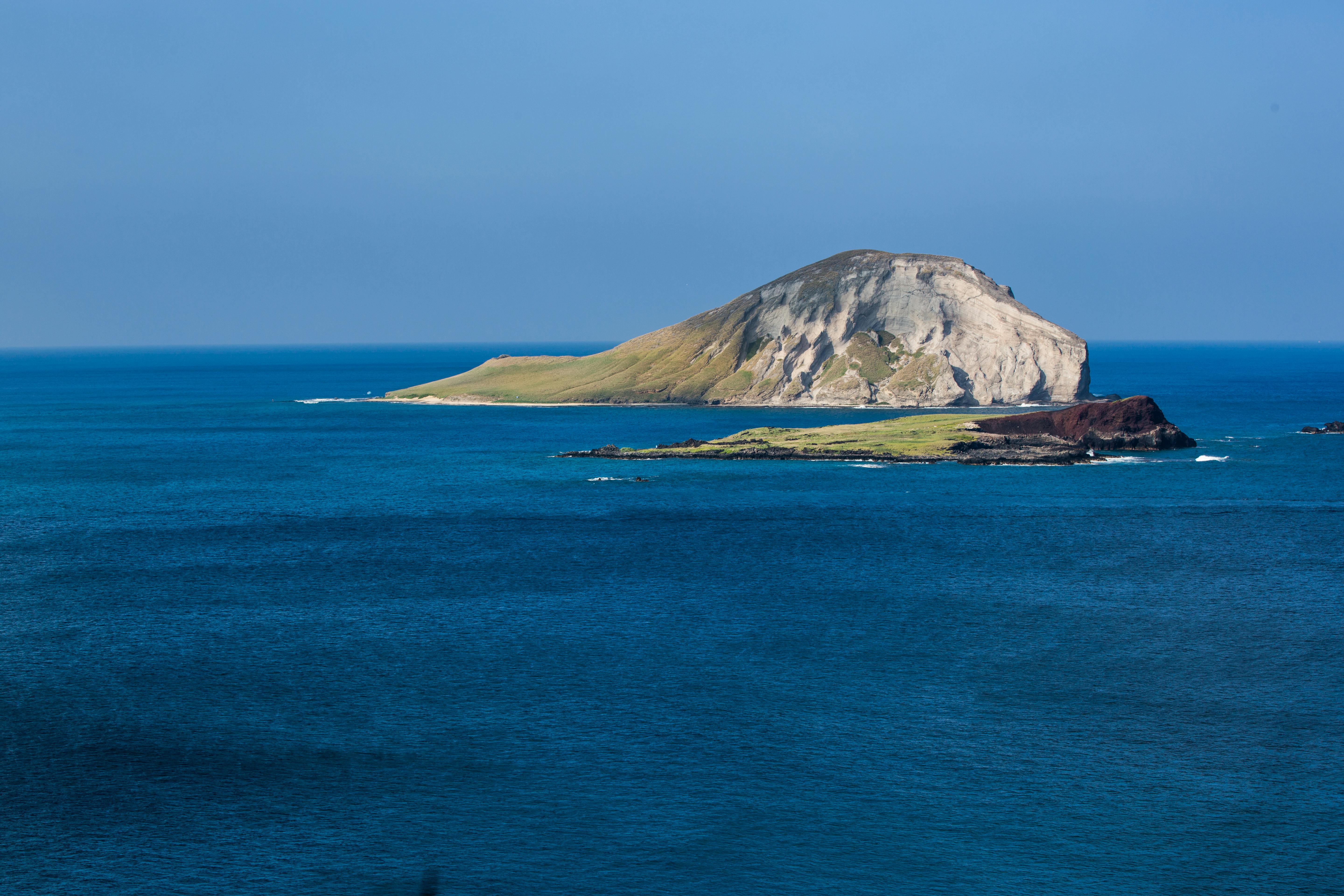 Hawaii Island Seed Bank helps build climate resilience - Hawaii Tribune — Photo by Elizabeth Kinne on Pexels