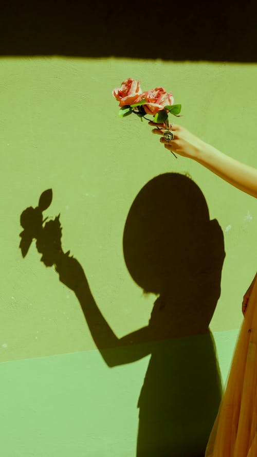 Shadow of Woman with Roses in Hand