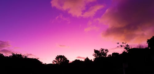 Základová fotografie zdarma na téma kontrast, nádherný západ slunce, purpurové nebe