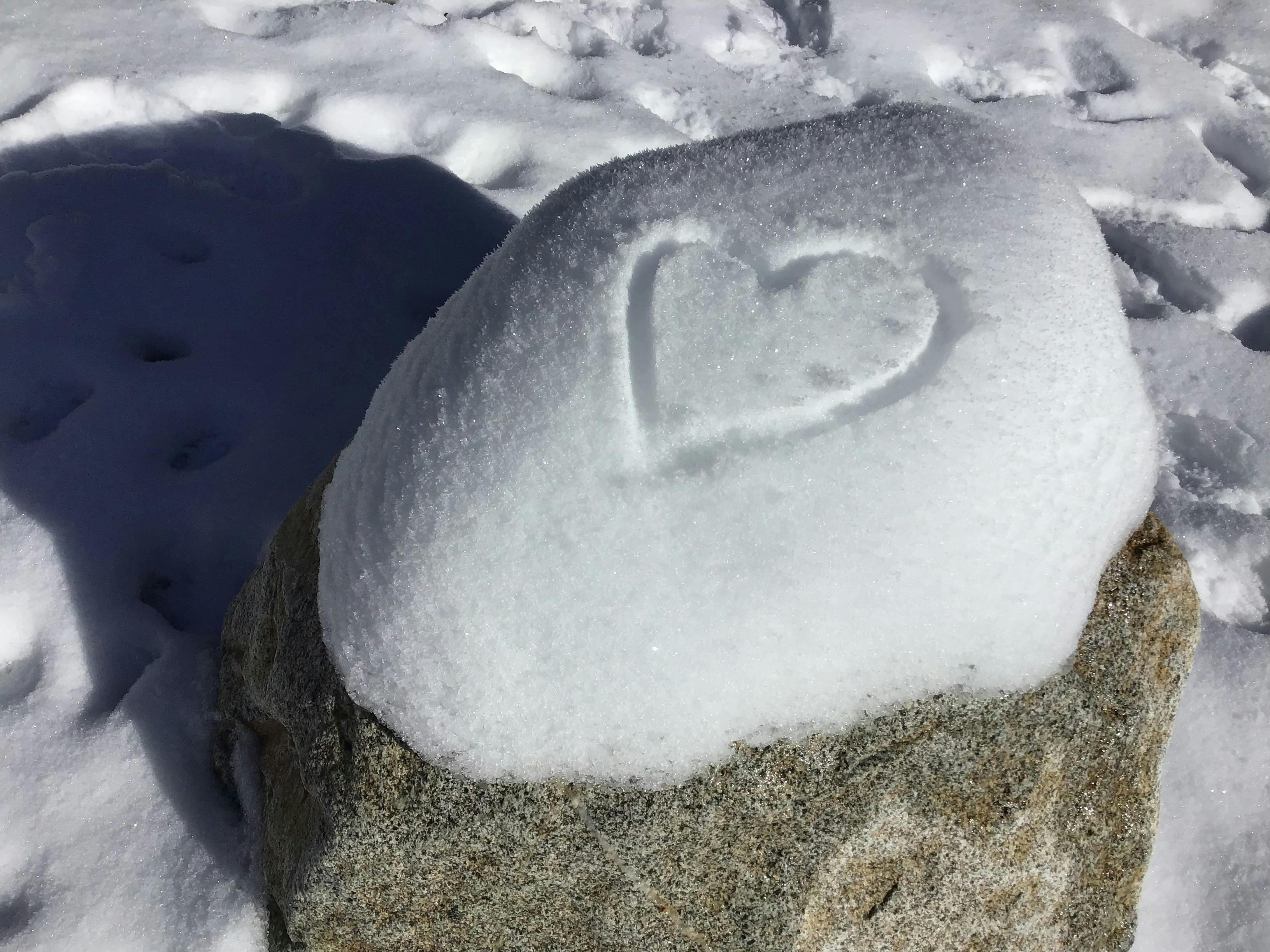 Close-up of soft feather lightly brushing smooth skin, sensual macro detail in dim light, evoking teasing hypnotic touch
