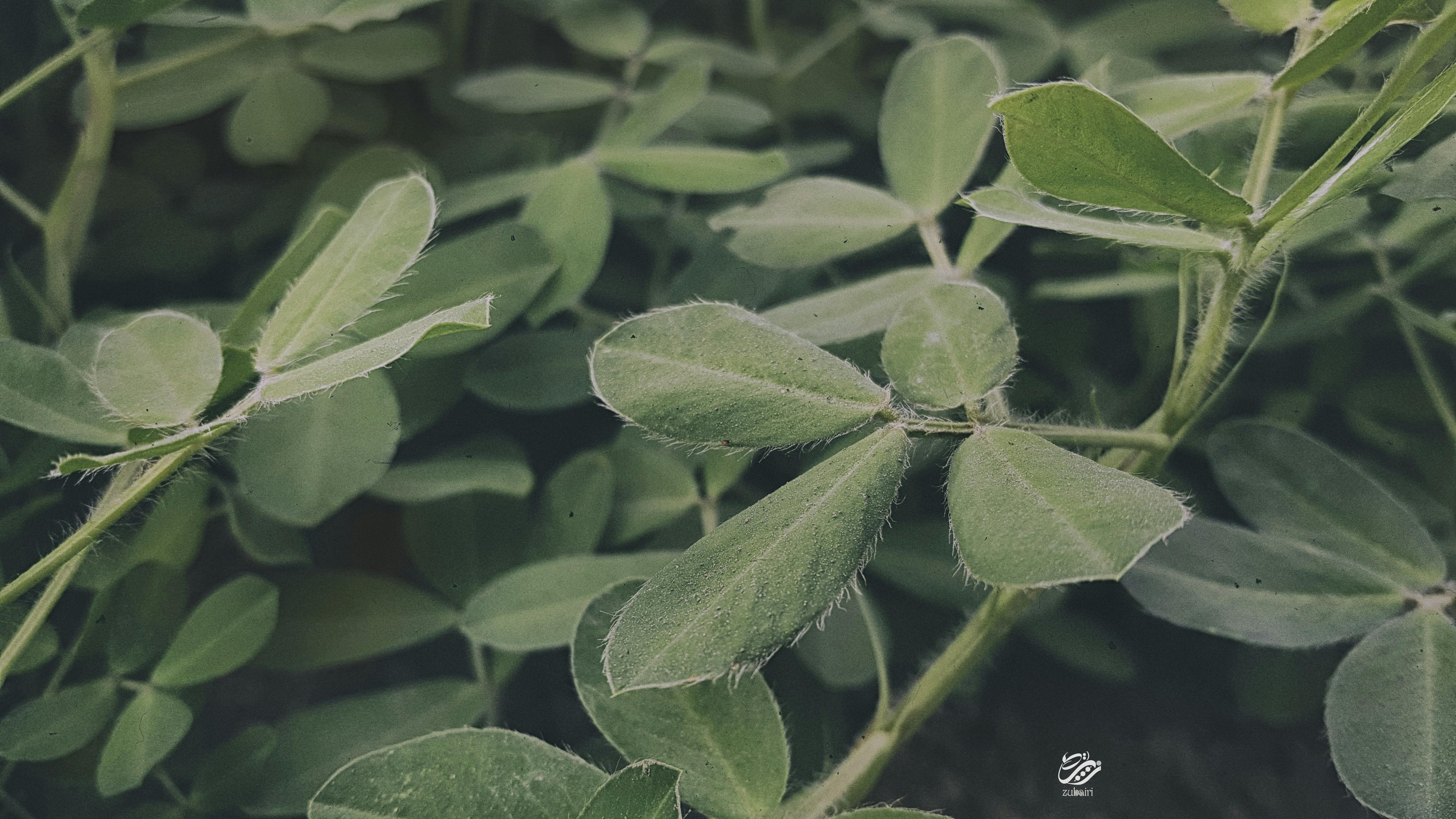 团队成员正在讨论项目进展