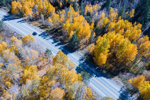 An aerial view of a road in the fall