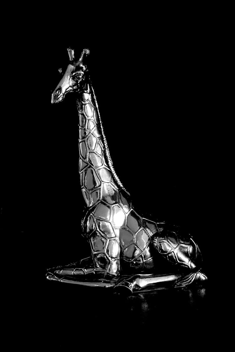 Decorative Giraffe In Black And White 