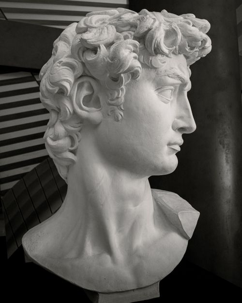 Free Black and white photograph of a marble bust resembling classical Roman art. Stock Photo
