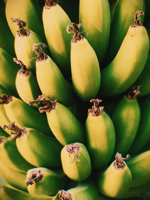 Kostenloses Stock Foto zu banane, fotografie, frucht