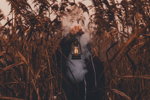 Person Holding Black Kerosene Lamp