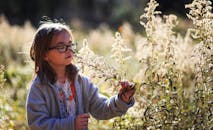 一个女孩在鲜花环绕、阳光明媚的田野中，享受着大自然的美丽