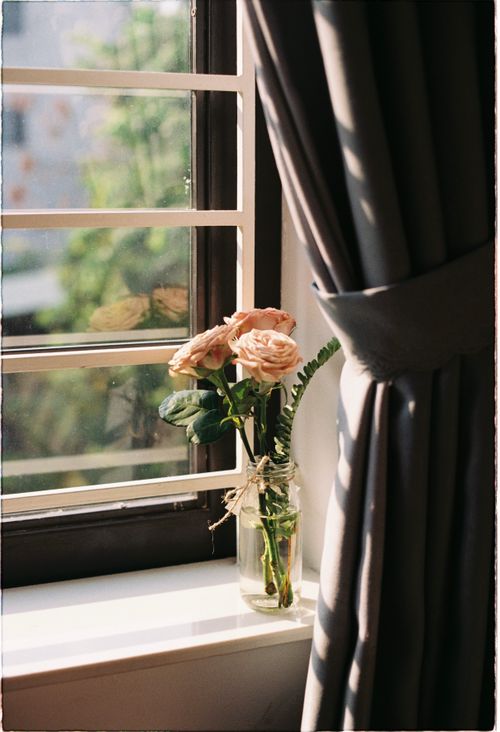 Free A charming display of pink roses in a jar on a sunlit windowsill with curtains. Stock Photo