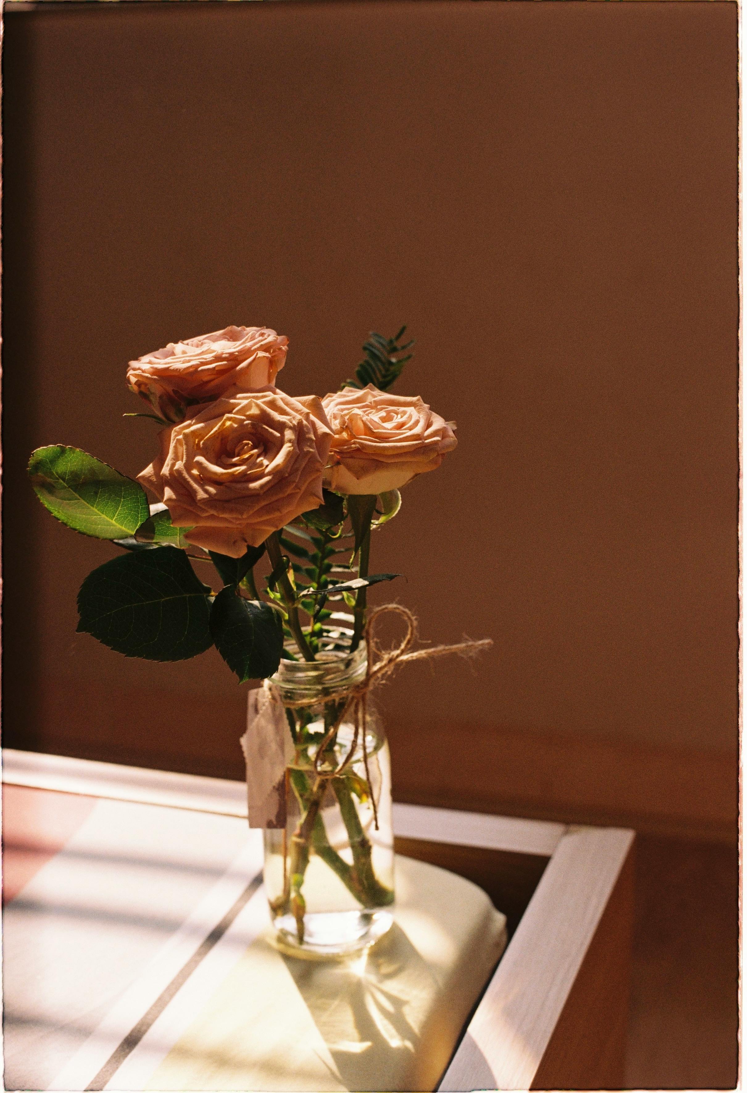 A glass bottle vase holding pink roses, illuminated by sunlight indoors.