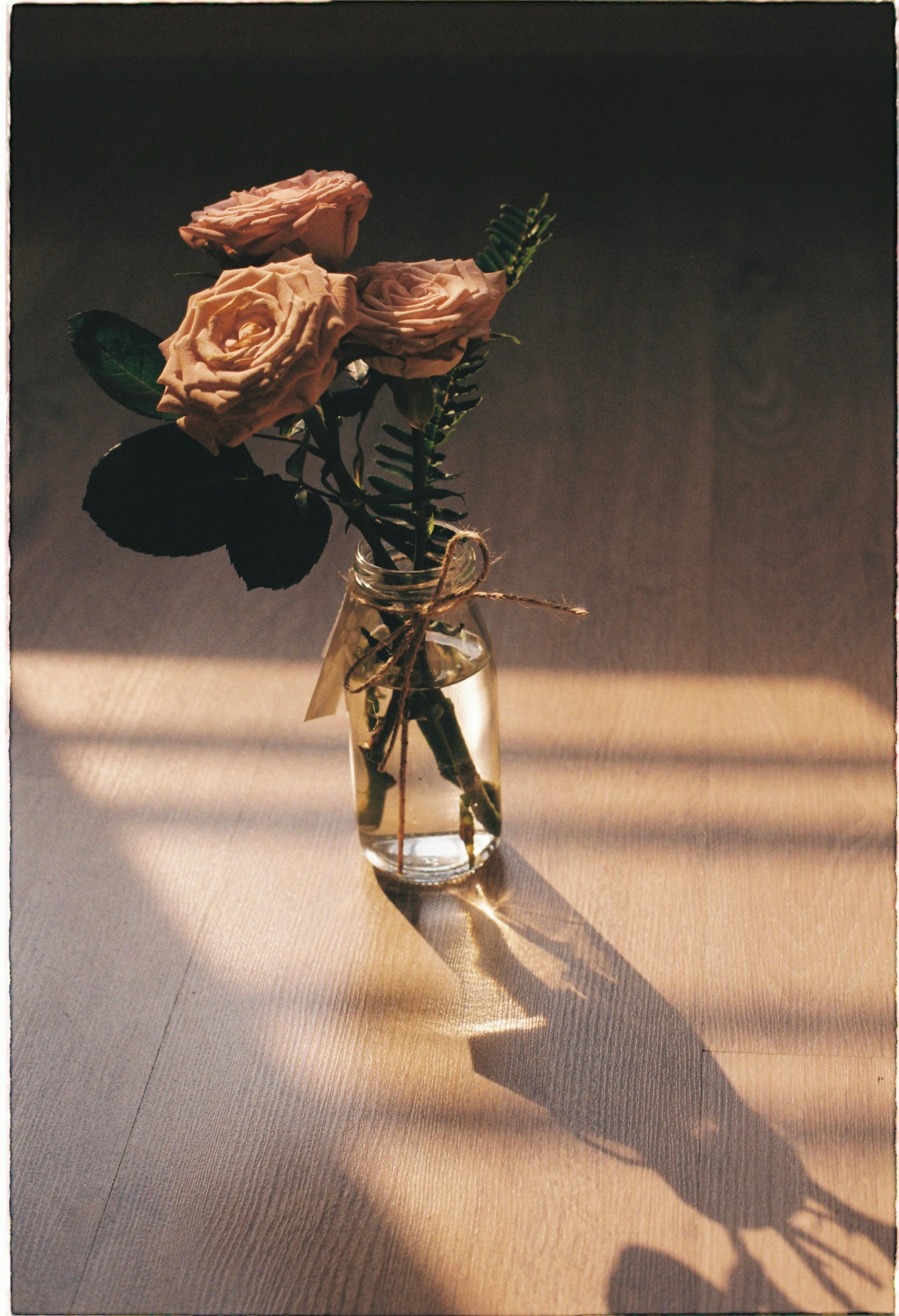 A delicate arrangement of pink roses in a glass vase casts elegant shadows in warm sunlight.