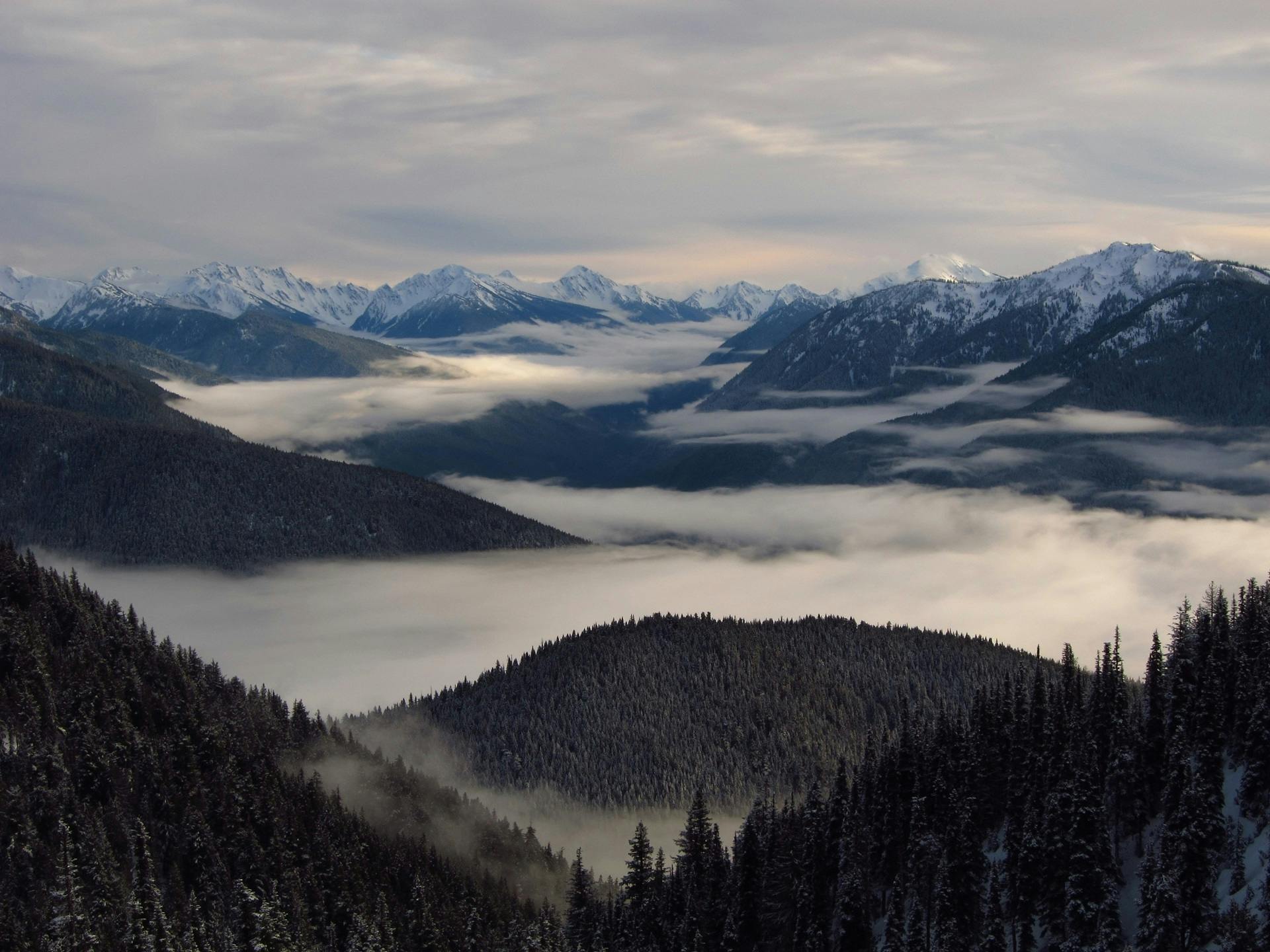 Aerial Photography Of Foggy Mountains Free Stock Photo   Landscape Fog Olympic Mountains Mist 163499 