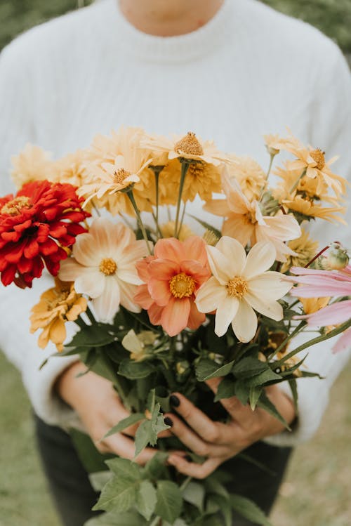꽃, 다채로운, 밝은의 무료 스톡 사진