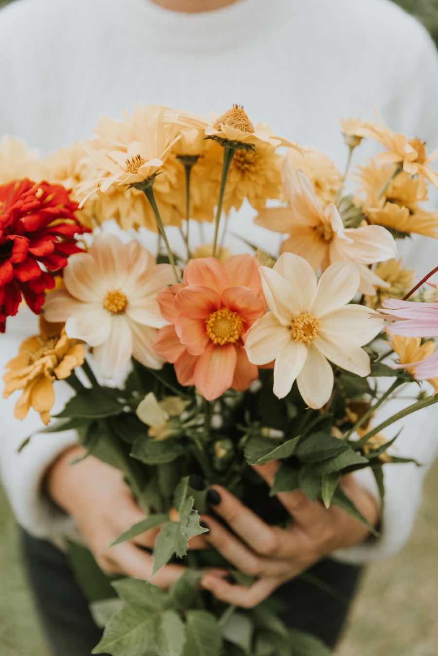 Cream and blush dahlias gathered in a loose hand-tied bouquet
