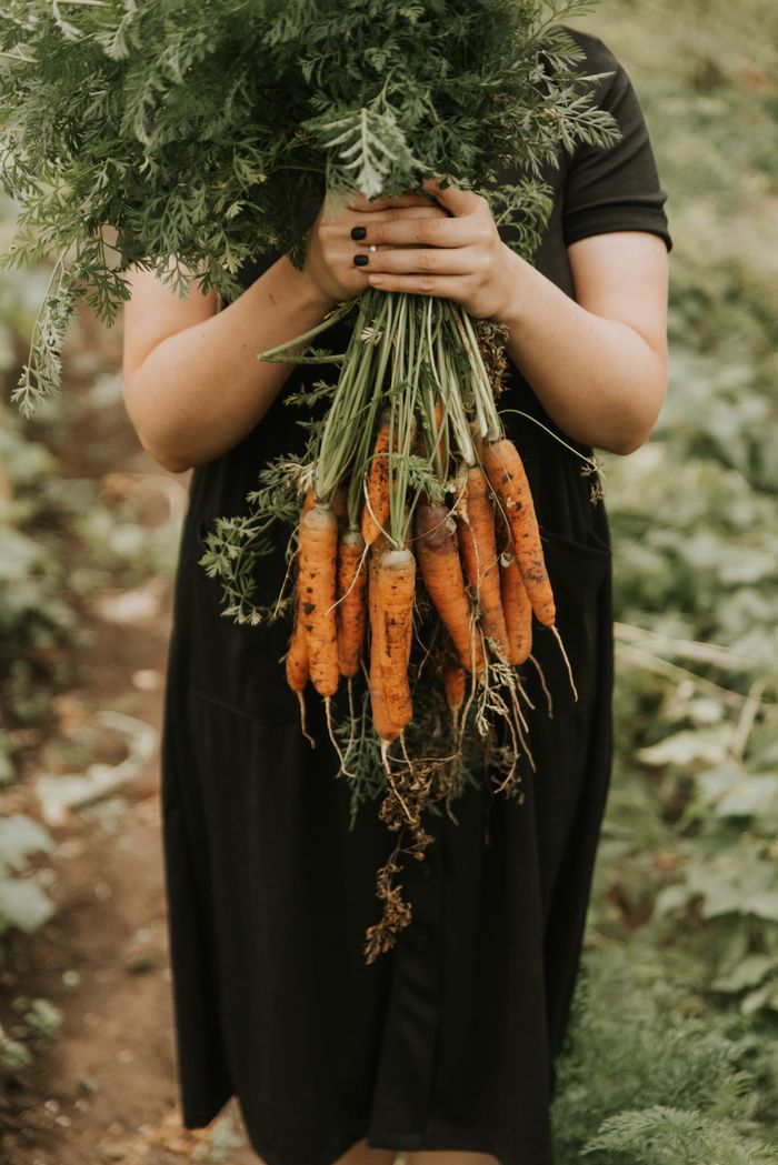 Fresh Rainbow Carrots
