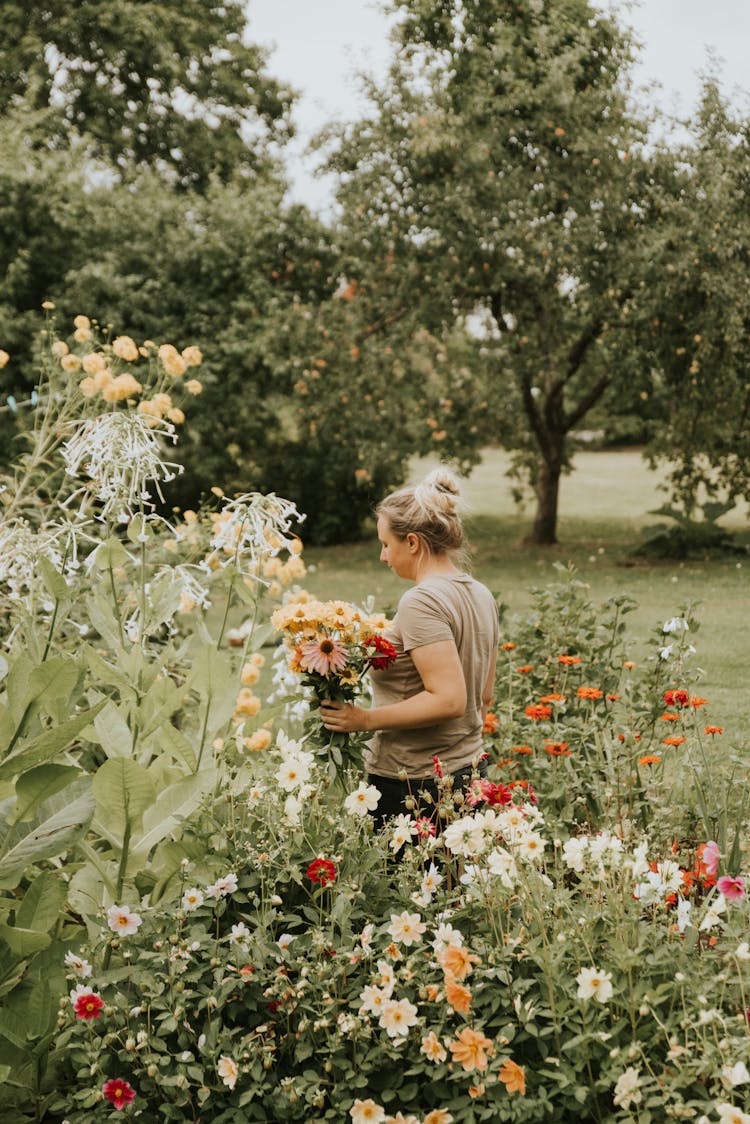 Woman In Spring Garden