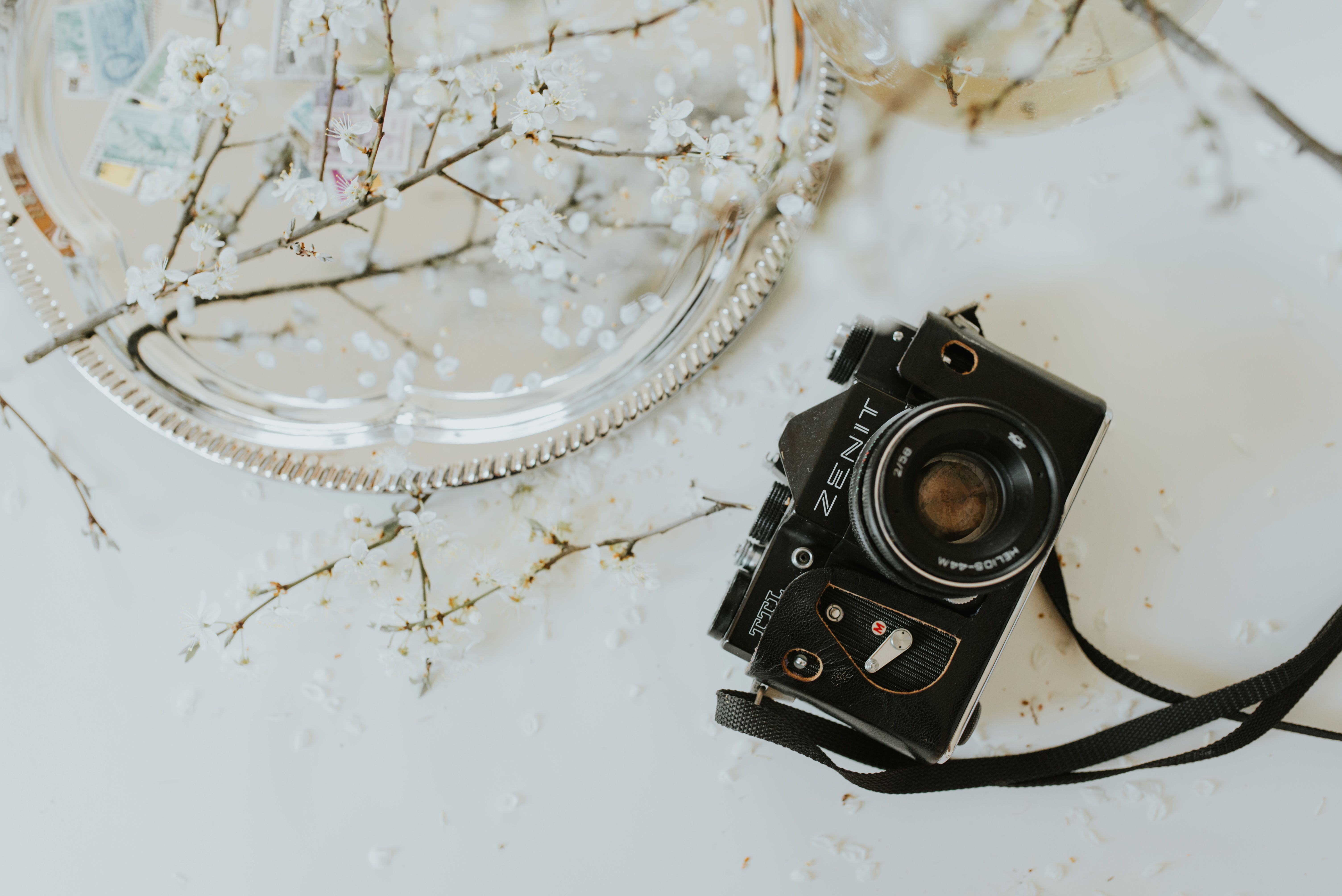 How to Find Creative Photography Inspiration in 7 Steps — Photo by Annija U on Pexels