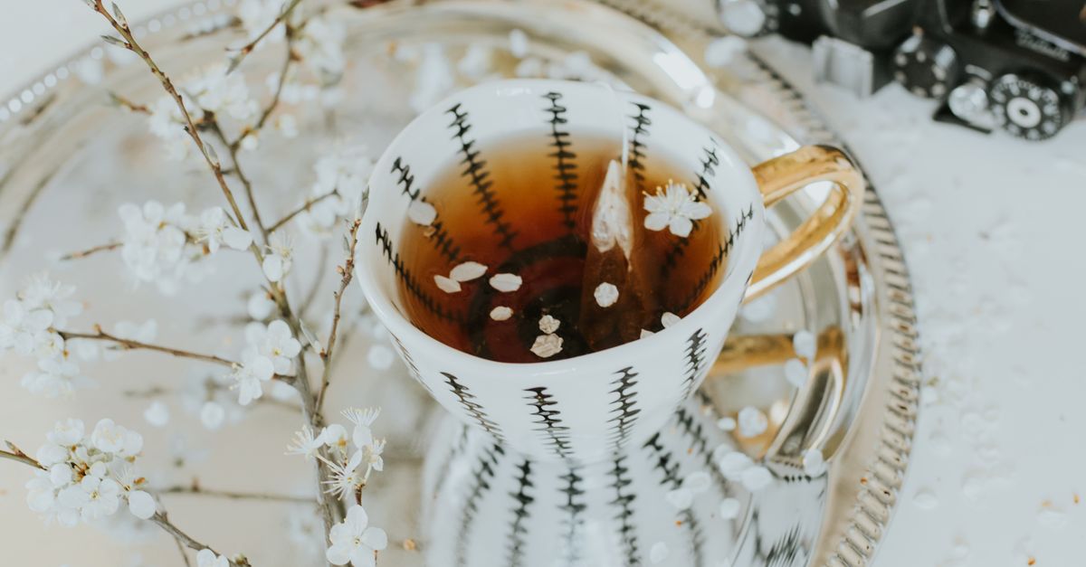 Tea, Camera and Branches around · Free Stock Photo