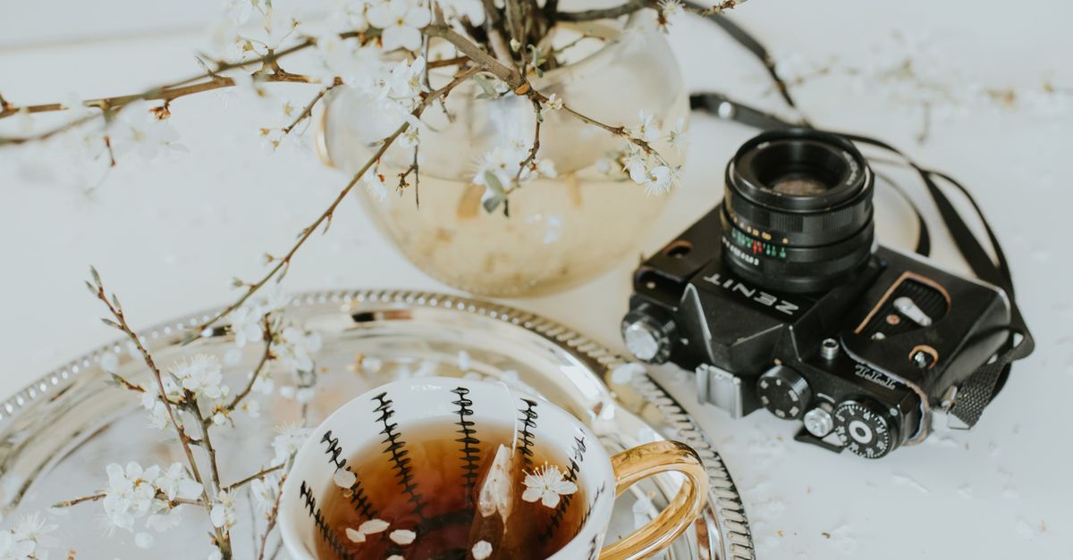 Tea, Camera and Branches · Free Stock Photo