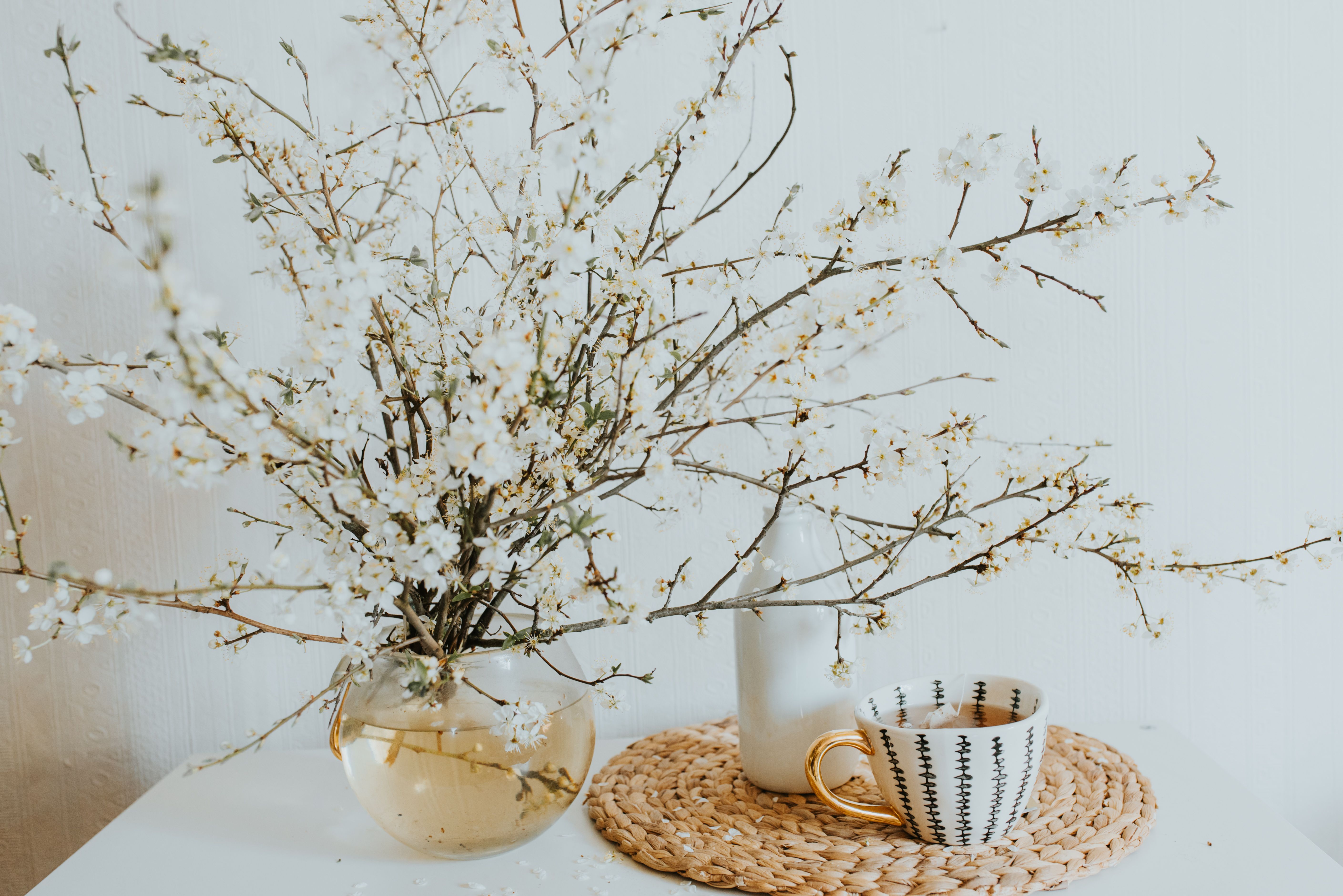 Give your home a spring reset for less than $100 with these DIY home improvement projects — Photo by Annija U on Pexels
