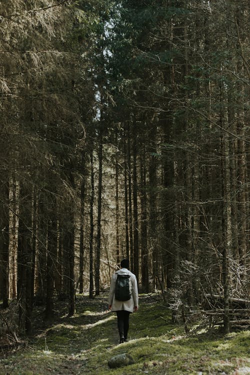 Person in Coat and with Backpack Walking in Forest
