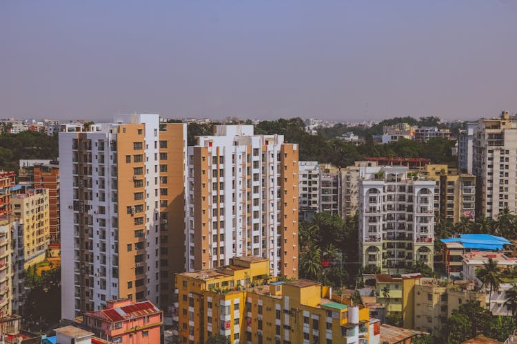 Residential Buildings In Tropical Landscape