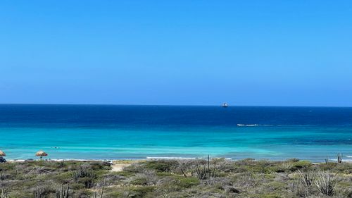 Free Aruba Stock Photo