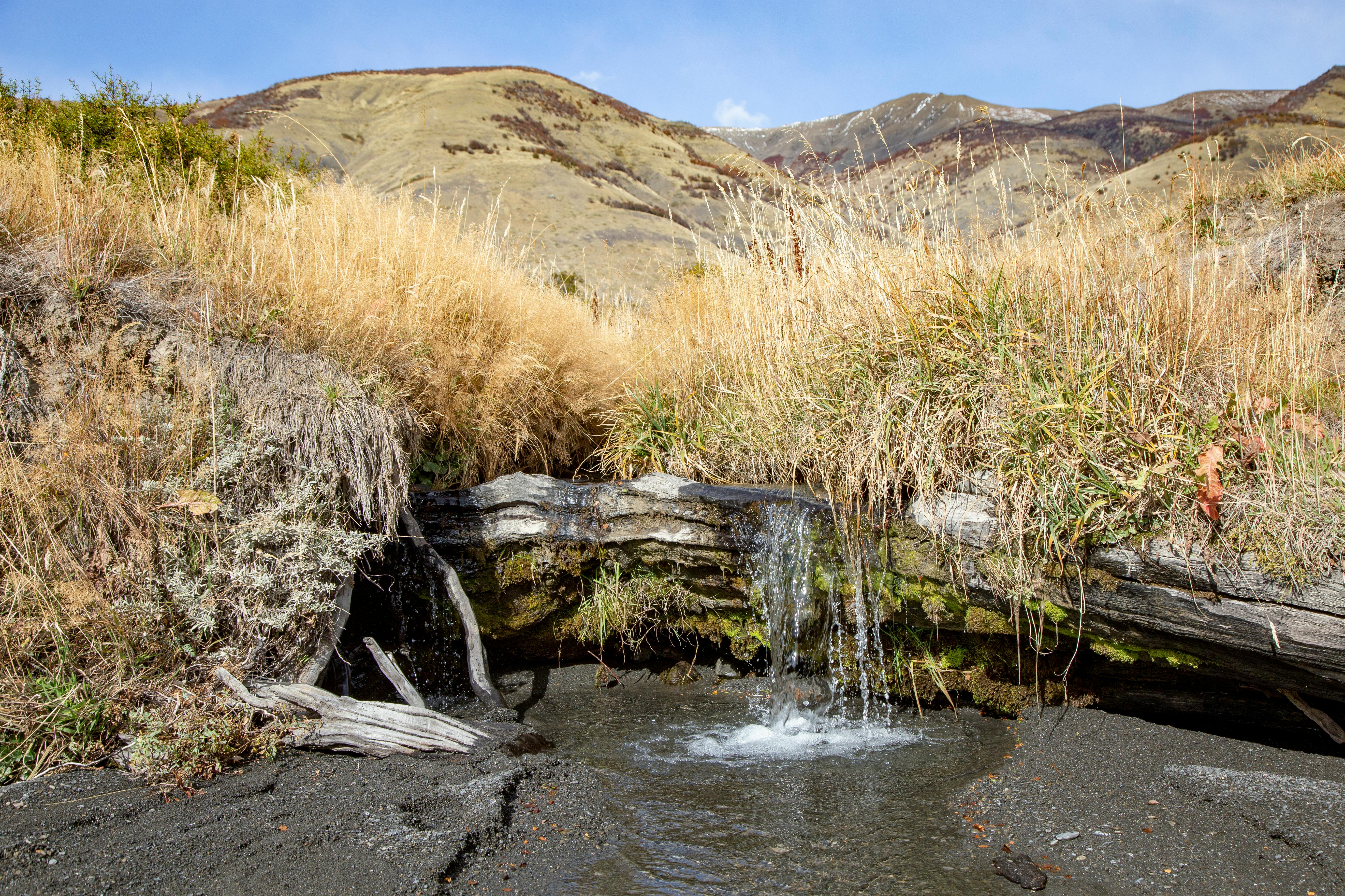 Scenic view of a serene stream flowing through the countryside in El Calafate, Argentina. - El Calafate
