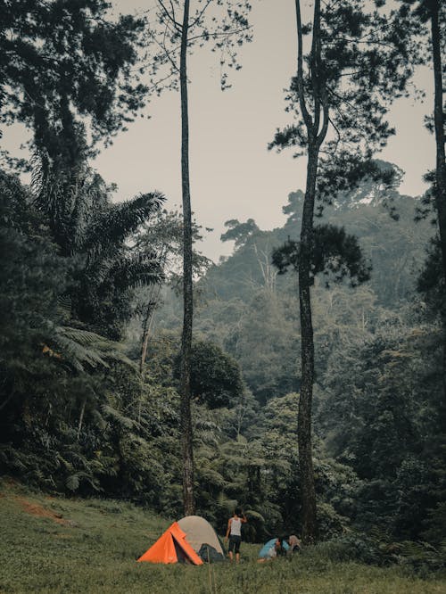 Kostenloses Stock Foto zu abenteuer, campen, eine pause machen