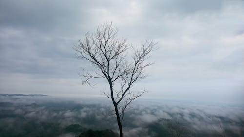 Gratis stockfoto met boven wolken, droog gras, uitzicht op de bergen