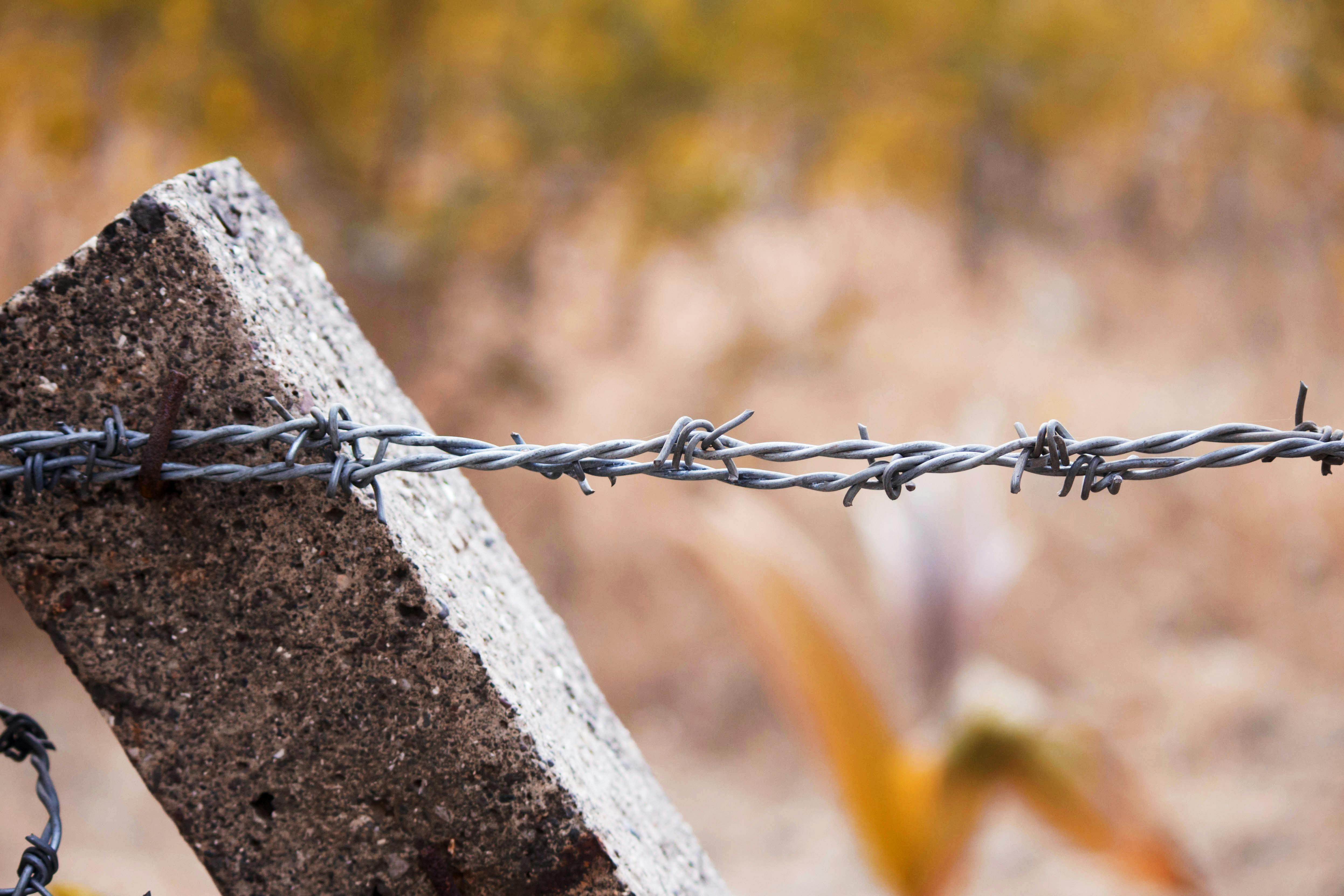 Free stock photo of barb wires, barbed wire, fences