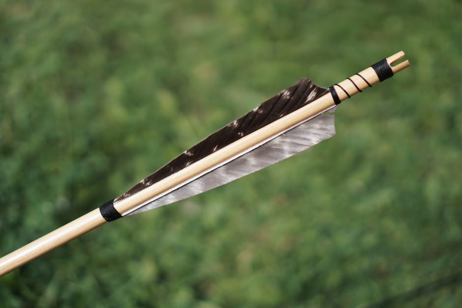 Arrow Feather Stock Selective Focus