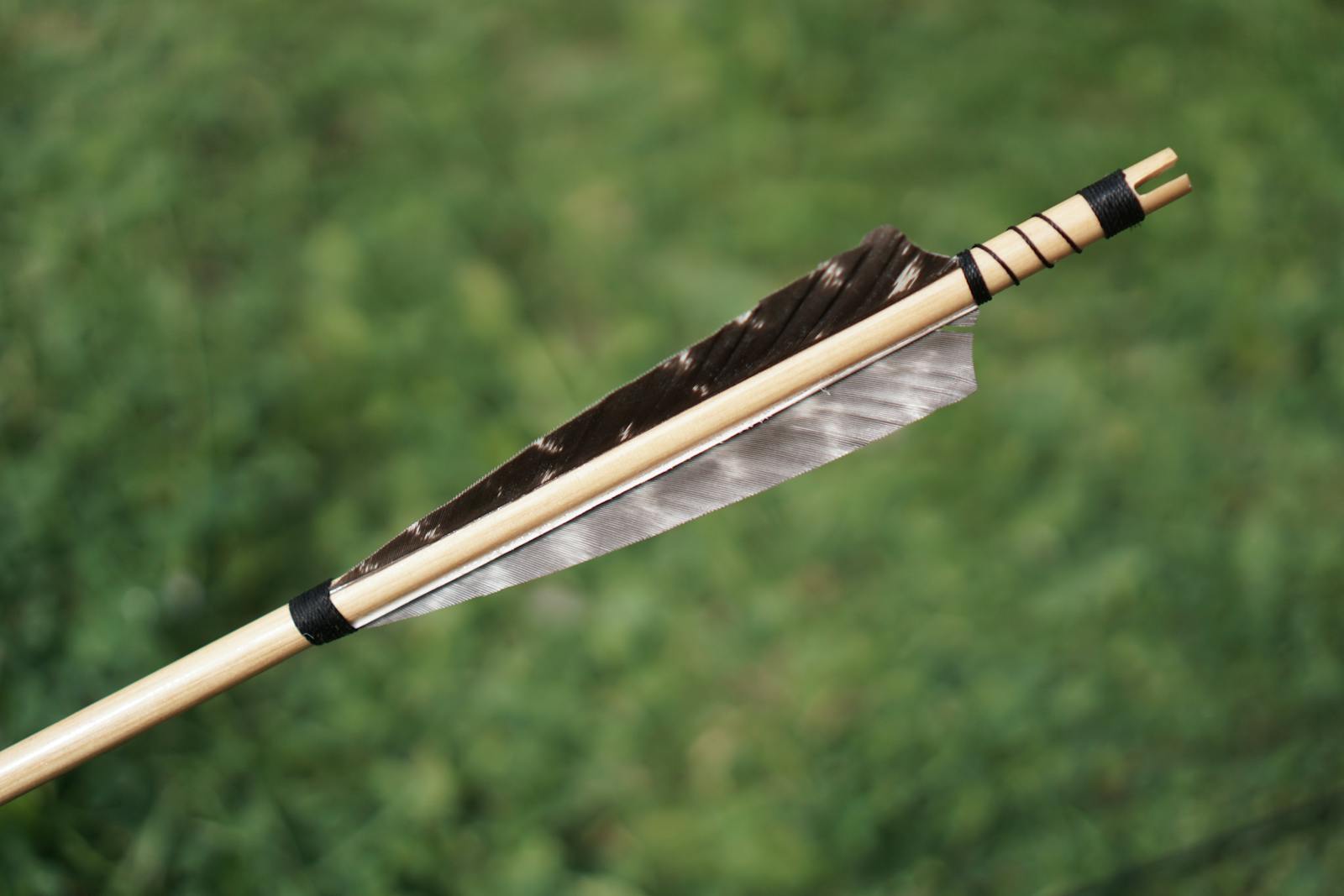 Bow photos download the best free bow stock photos hd images